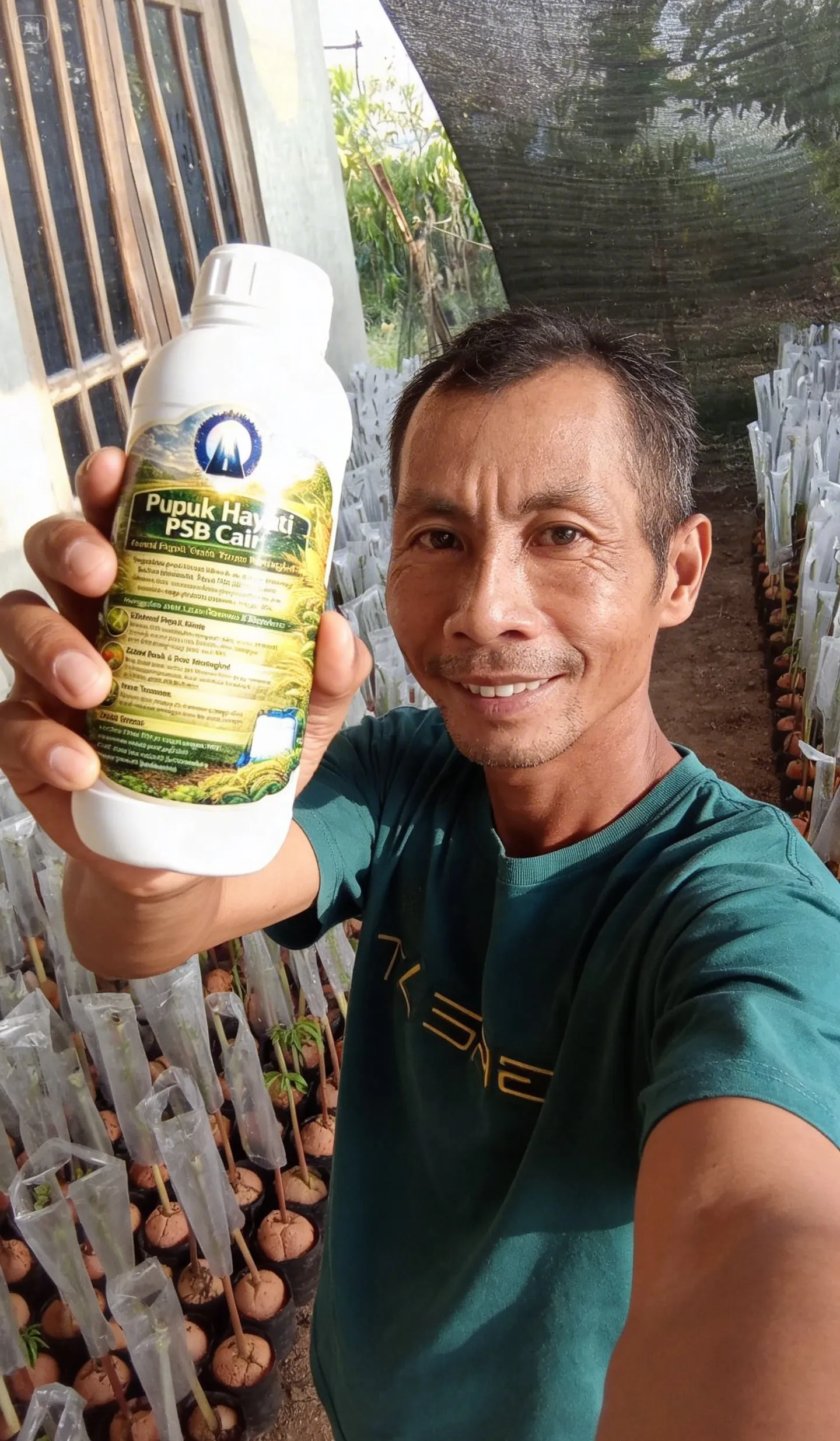 Sayuran Daun - Setelah pakai PSB Cair